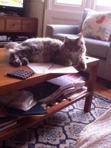 1014377_10151819679238179_1911098251_n