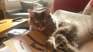 10364150_799068666794177_2032754682095501050_n