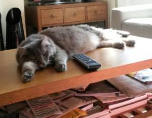 10429457_10152568968798179_3709448550356565432_n