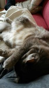 10453317_10152543751483179_1638287514635889362_n