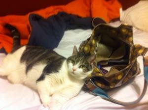 1236135_10151938128333179_290836076_n