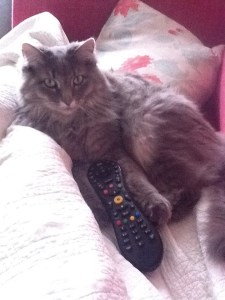 73457_10151817743218179_1450990614_n