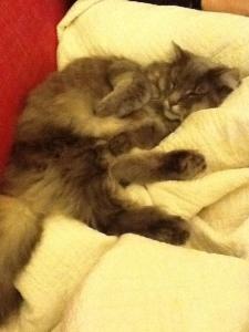 74894_10151248251528179_1180513807_n