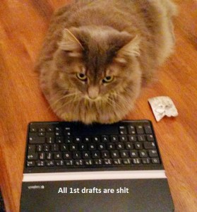 typewriter cat