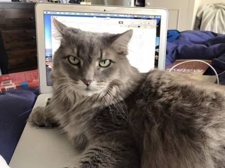 45123534_10156861551098179_4404910723541499904_n